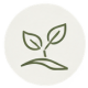 Icon growth